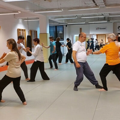 seminar-wang-yan-2025-3