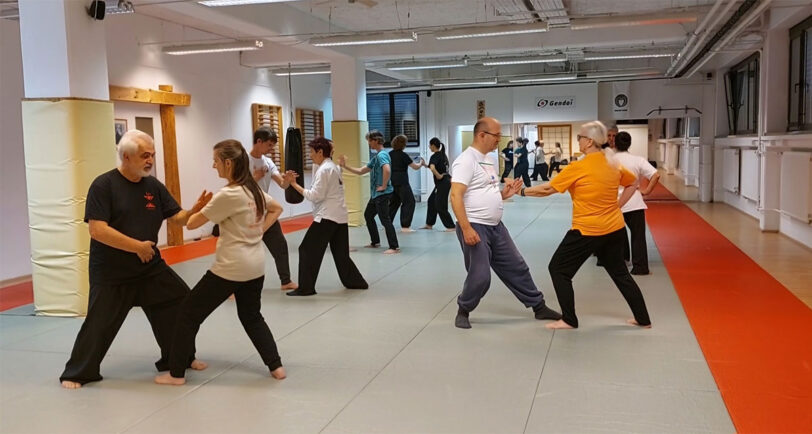 seminar-wang-yan-2025-3